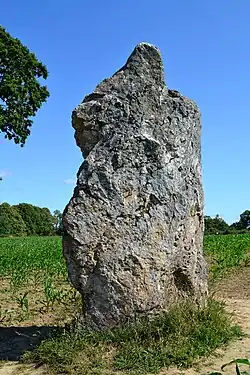 Image illustrative de l’article Pierre Longue (Guitté)