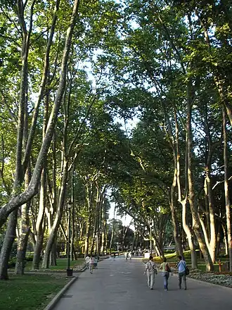 Image illustrative de l’article Parc Gülhane