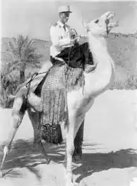 Image illustrative de l’article Compagnies méharistes sahariennes