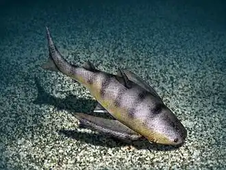 Description de cette image, également commentée ci-après