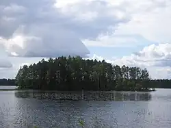 l'île Hännisensaari du lac Yltiä.