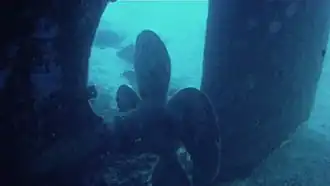 L'hélice et le gouvernail