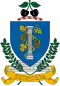 Blason de Szomolya