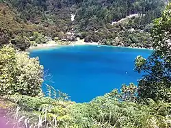 Photographie d'une baie entourée d'une végétation luxuriante.