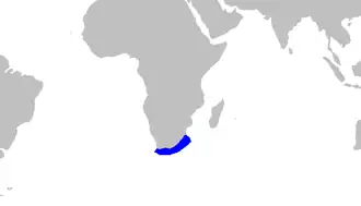 Description de l'image Halaelurus_natalensis_distmap.png.