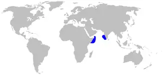 Description de l'image Halaelurus_quagga_distmap.png.