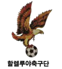 Logo du Hallelujah FC