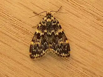 Description de cette image, également commentée ci-après