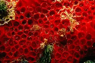 Description de cette image, également commentée ci-après