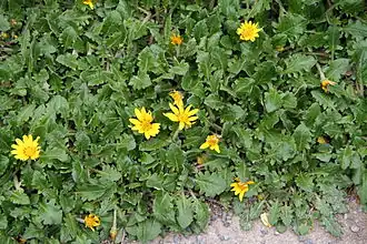 Description de cette image, également commentée ci-après