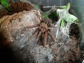 Description de cette image, également commentée ci-après