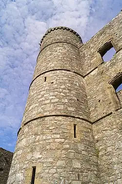 Une forte tour, construite en pierres, quelques meurtrières ; quelques ouvertures de fenêtres sur le mur qui rejoint la tour.