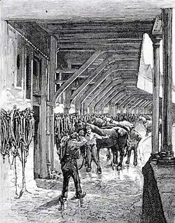 Harnachement des chevaux