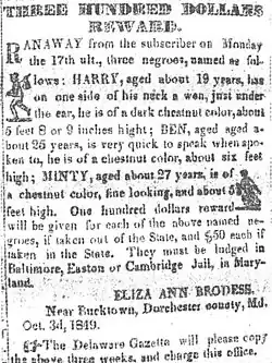 Reproduction photographique noir et blanc d'une petite annonce dans un journal