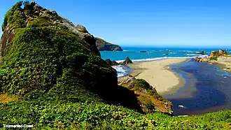 Brookings (Oregon)