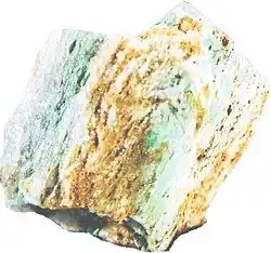 Image illustrative de l’article Hastingsite