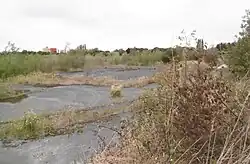 Friche de l'ancienne usine Lever (septembre 2019)