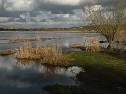 Le marais de Goulaine.