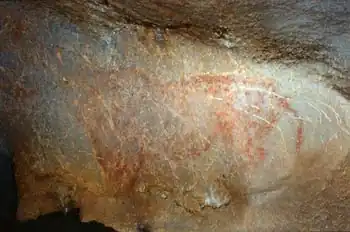 Animal indéterminé