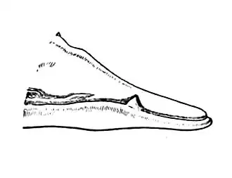 Détail de la mâchoire du mâle, avec la dent supplémentaire