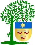 Blason de Heeze