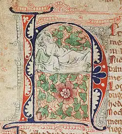 Hein van Aken rêvant d'une rose