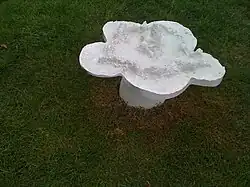 Piss Flowers (1991).