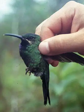 Description de cette image, également commentée ci-après