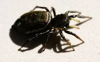 Description de cette image, également commentée ci-après