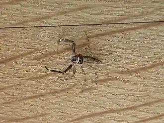 Description de cette image, également commentée ci-après