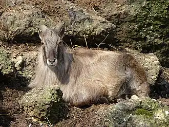 Description de cette image, également commentée ci-après