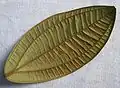feuille