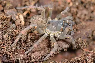 Description de cette image, également commentée ci-après