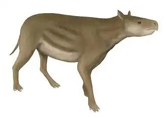 Restitution de Heptodon posticus (Helaletidae).