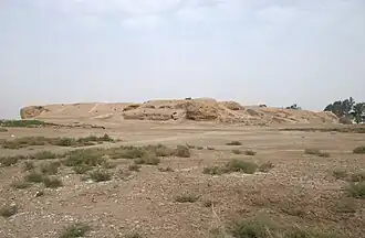 Tell d'Heraqla près de Raqqa en octobre 2009.