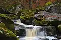Cascade.