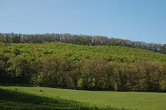 Vue depuis le Rohrerwiese.