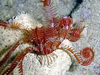 Description de cette image, également commentée ci-après