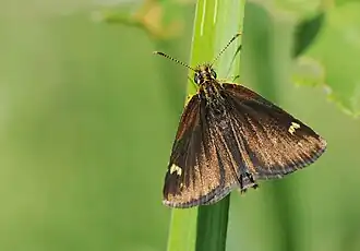 Description de cette image, également commentée ci-après