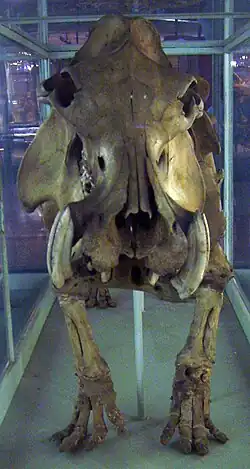 Description de cette image, également commentée ci-après