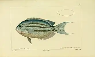 Description de l'image Histoire naturelle des poissons (10438577344).jpg.