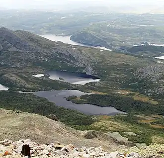 Hjartdal