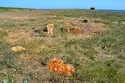 Dolmen du Télégraphe