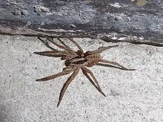 Description de cette image, également commentée ci-après