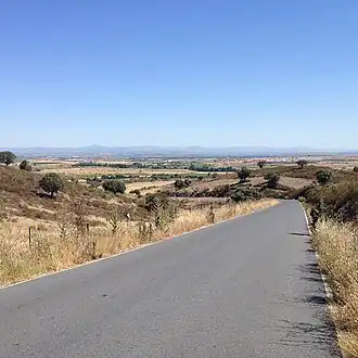 Holguera