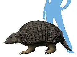 Holmesina floridanus (restitution paléoartistique)