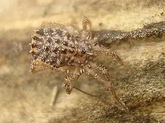 Description de cette image, également commentée ci-après