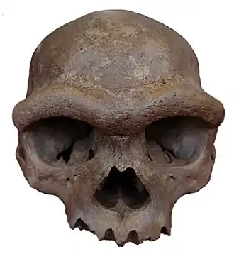 Description de cette image, également commentée ci-après