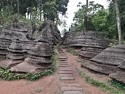 Sentier au milieu des pierres