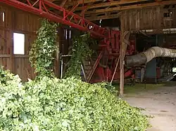 Récolte : traitement en atelier.